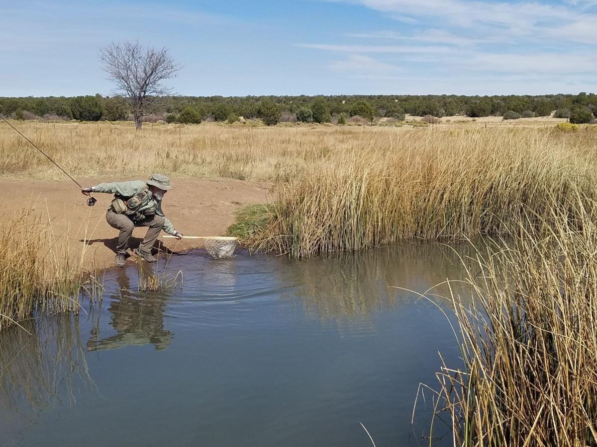 Head To Show Low For Unique Catch And Release Fishing Experience Local News Paysonroundup Com Head To Show Low For Unique Catch And Release Fishing Experience Local News Paysonroundup Com