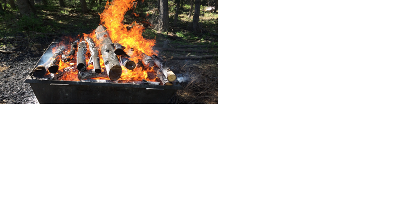Biochar demonstration at Pine brush pit April 25 - Vimarsana News