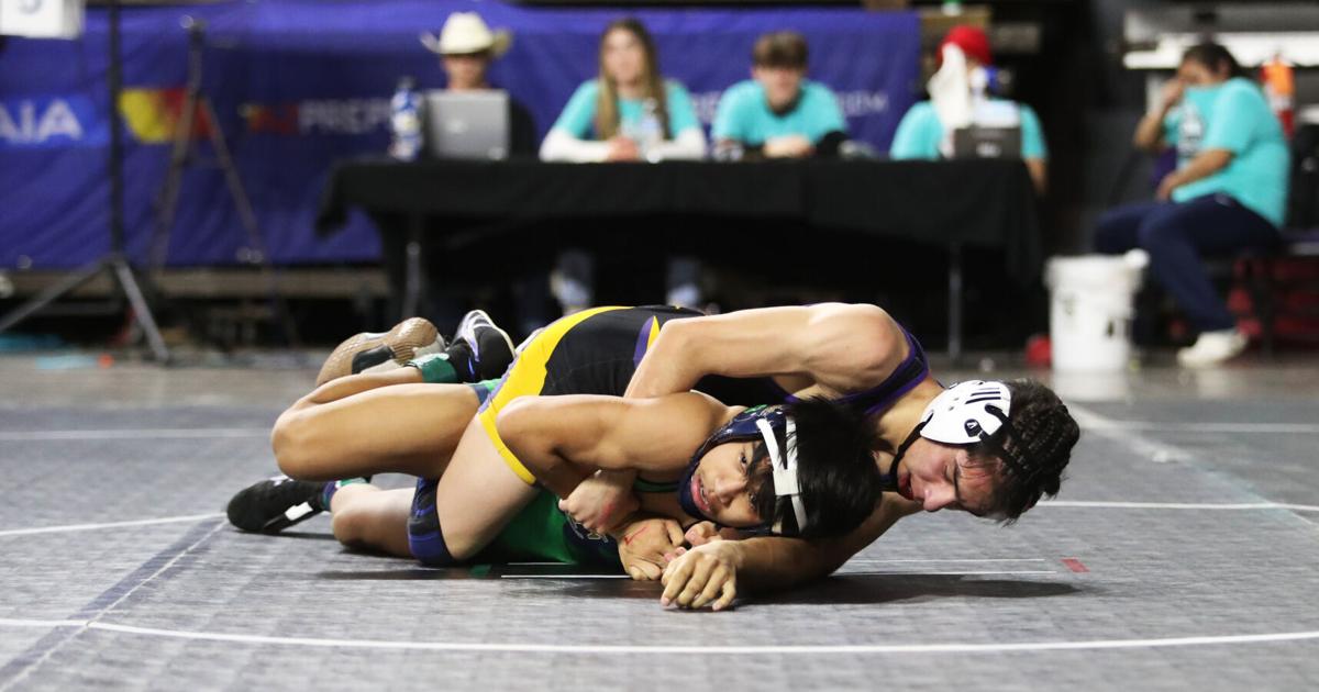 Blue Ridge freshman pins down state mat title | 260 Connection ...