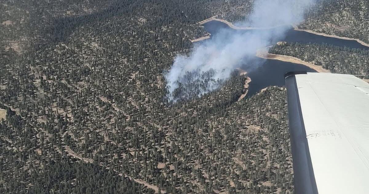 Fire near Willow Springs Lake quickly contained | News | paysonroundup.com