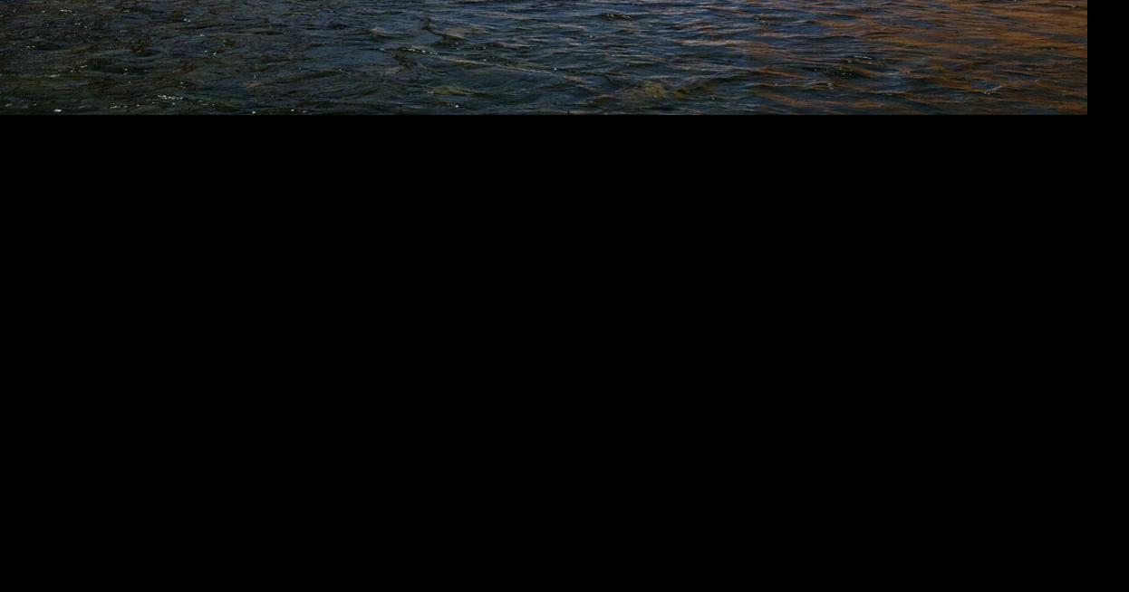 Fish Lees Ferry and help native fish at the same time Local News