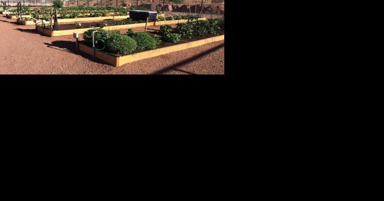 SV Council donates garden plots to help Warming Center - Vimarsana News