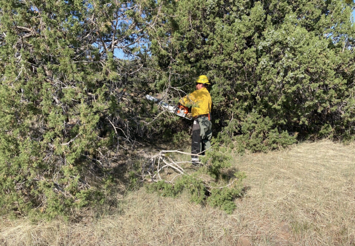 Rain to the rescue on Backbone Fire | Local News | paysonroundup.com