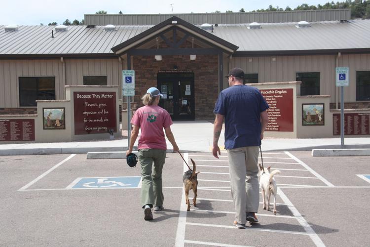 volunteers comfort animals at the sheltee july 4th