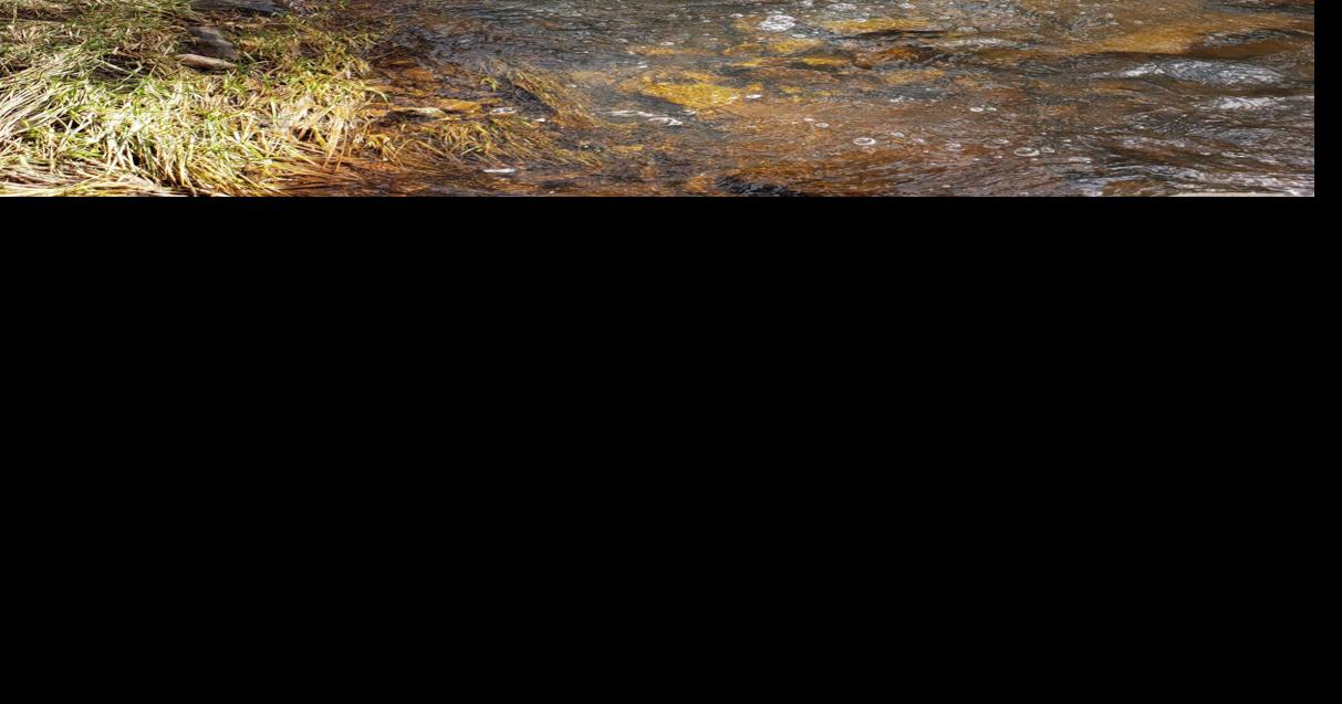 Early spring stream fishing in Rim Country | Payson | paysonroundup.com