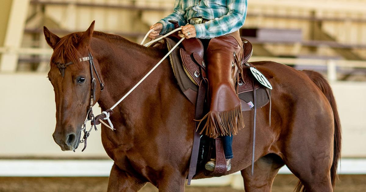 Cowboy Dressage World Finals 2025