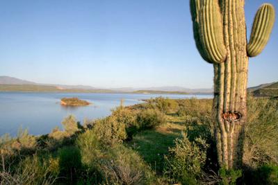 Use Tonto Forest Sites For Free On Jan 17 22 Camping Paysonroundup Com