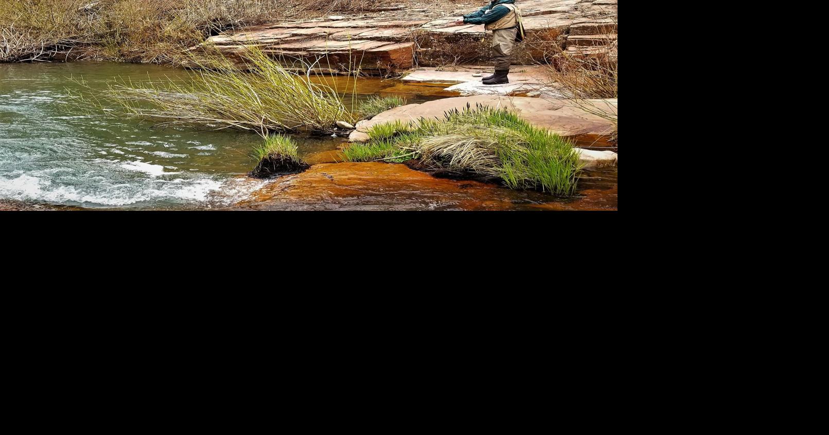 Tonto National Forest waives fees at dayuse sites for National Get