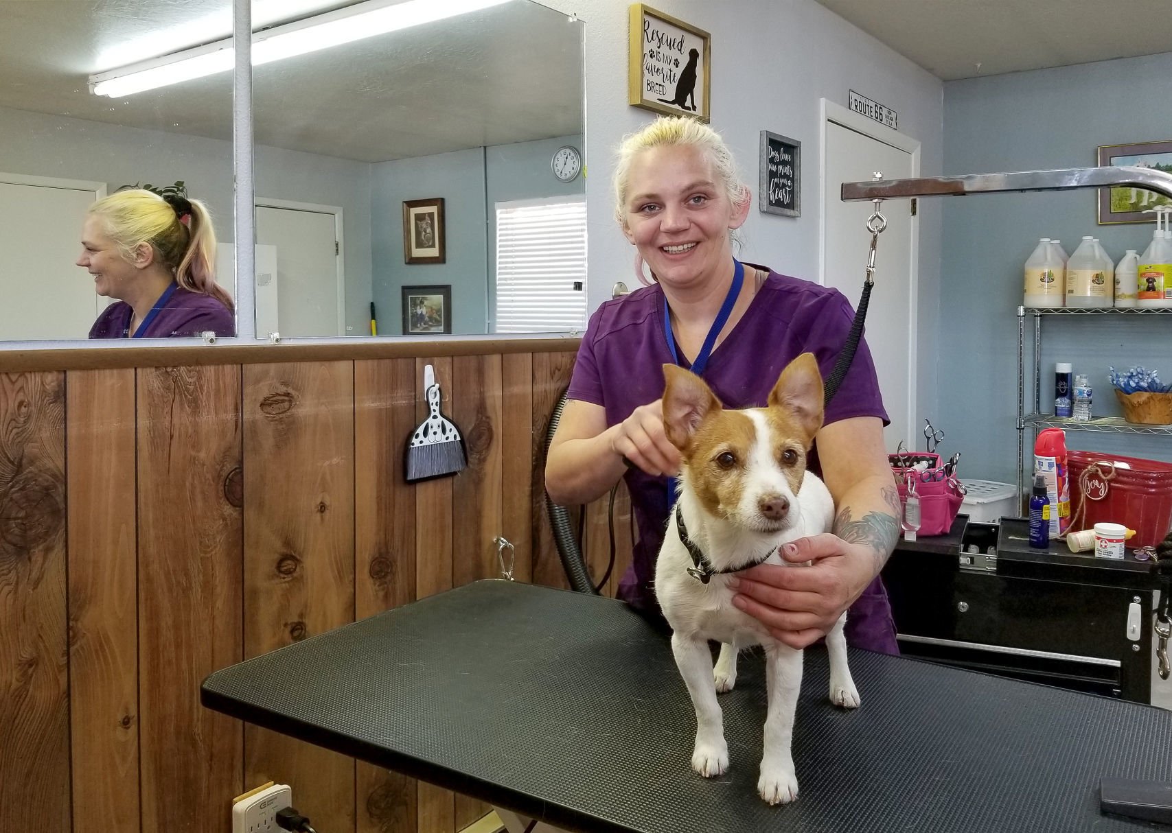 dog grooming salon opens in Star Valley 