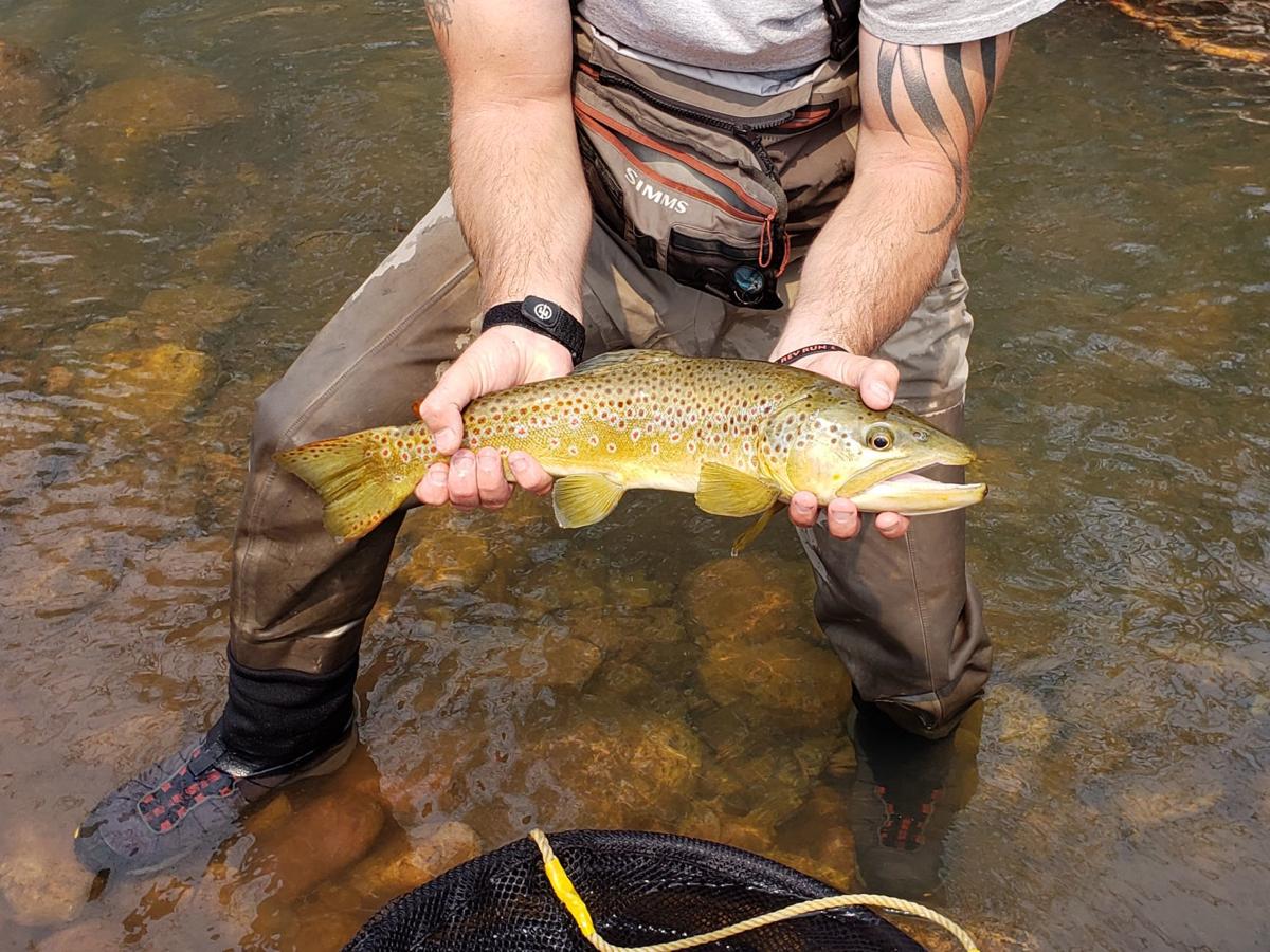 How Game and Fish is improving fishing in Rim Country | Local News ...