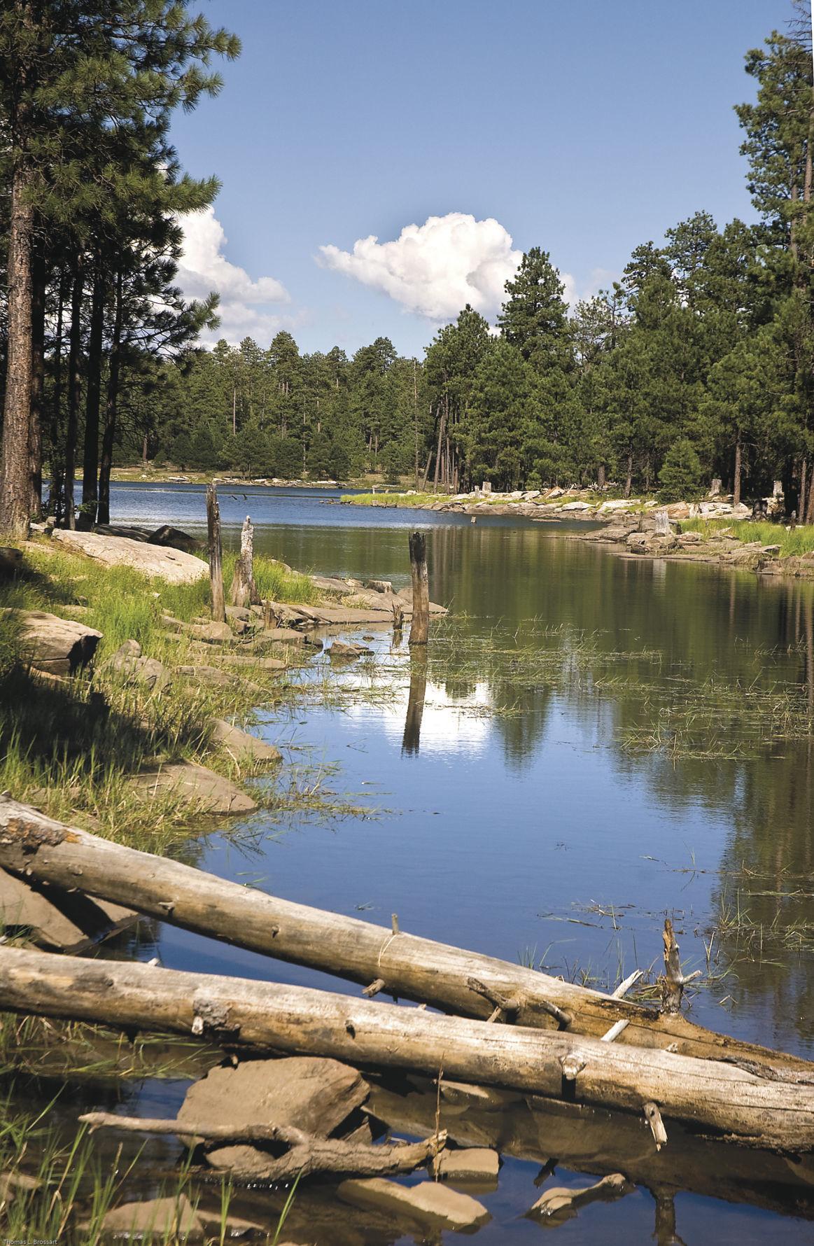 The delights of Willow Springs Lake Columnists