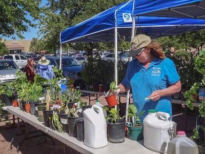Plant Sale Is May 6 Local News Paysonroundup Com