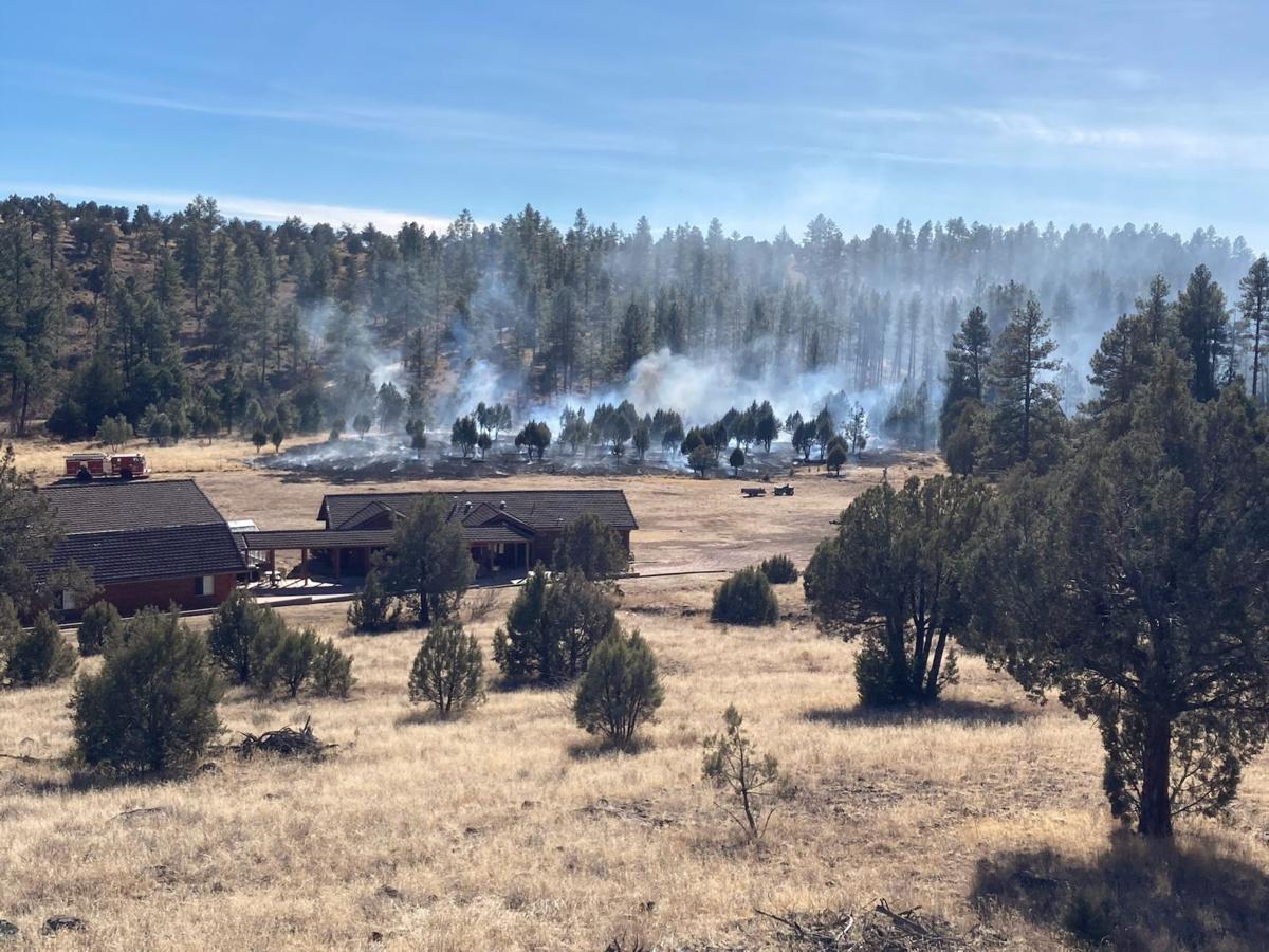 Humancaused brush fire this weekend in PineStrawberry Forest