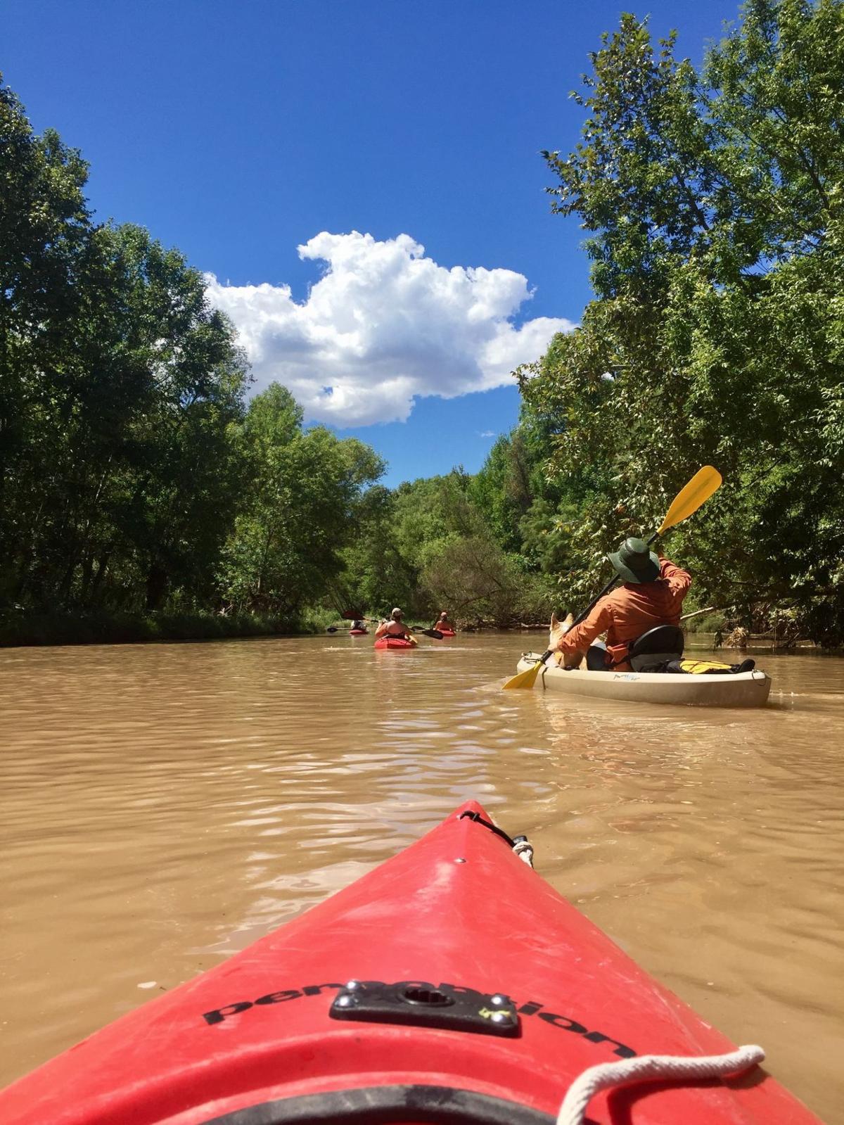 Kayaking the Verde River Local News