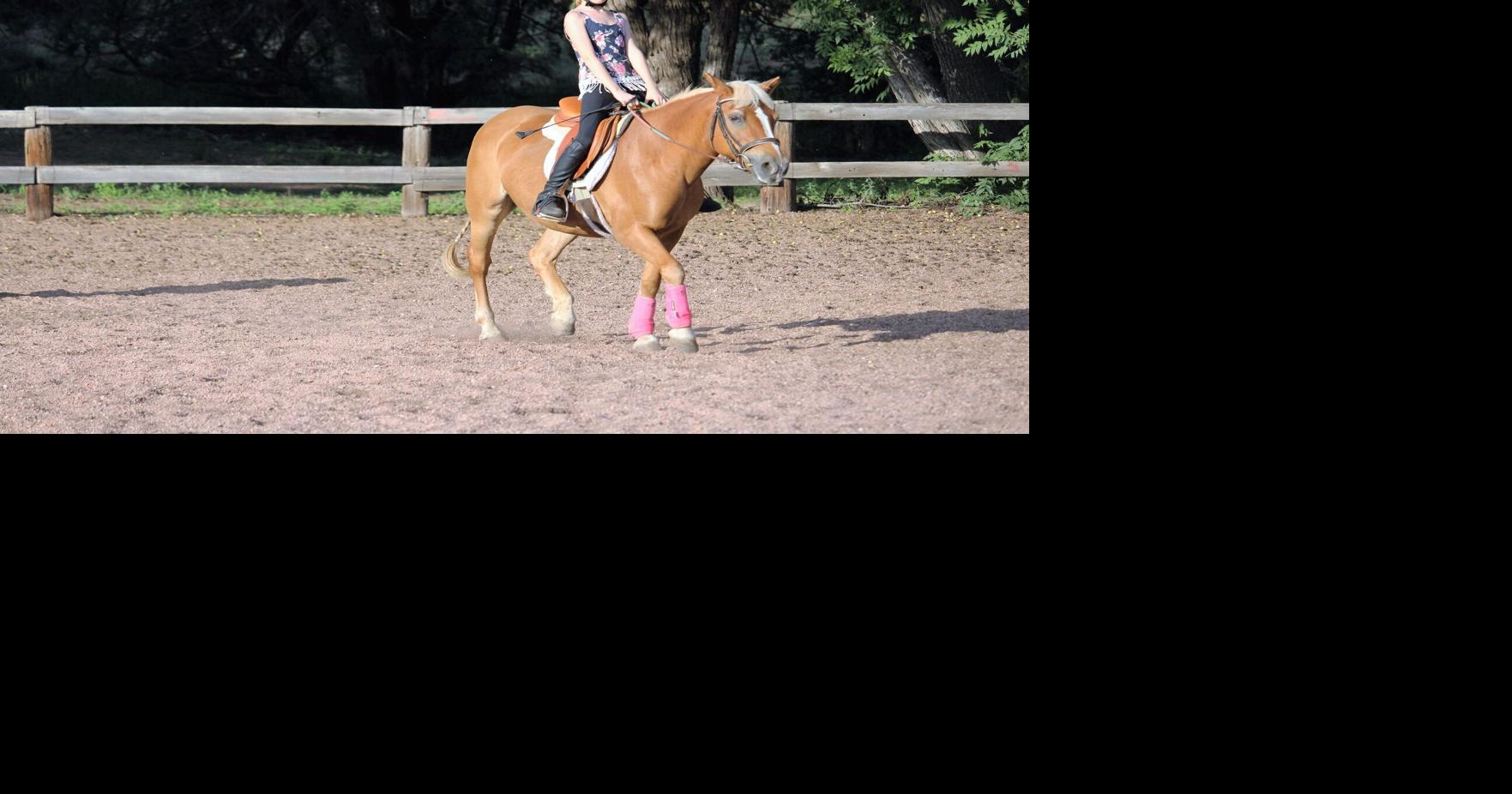 Homeschoolers now eligible for free horse riding lessons News