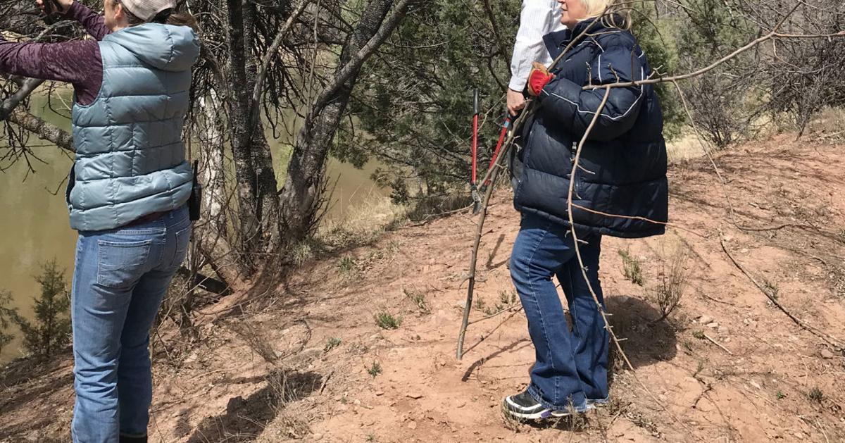 Grafting Project of Heritage Apple Trees at Shadow Rim Ranch Girl Scout ...
