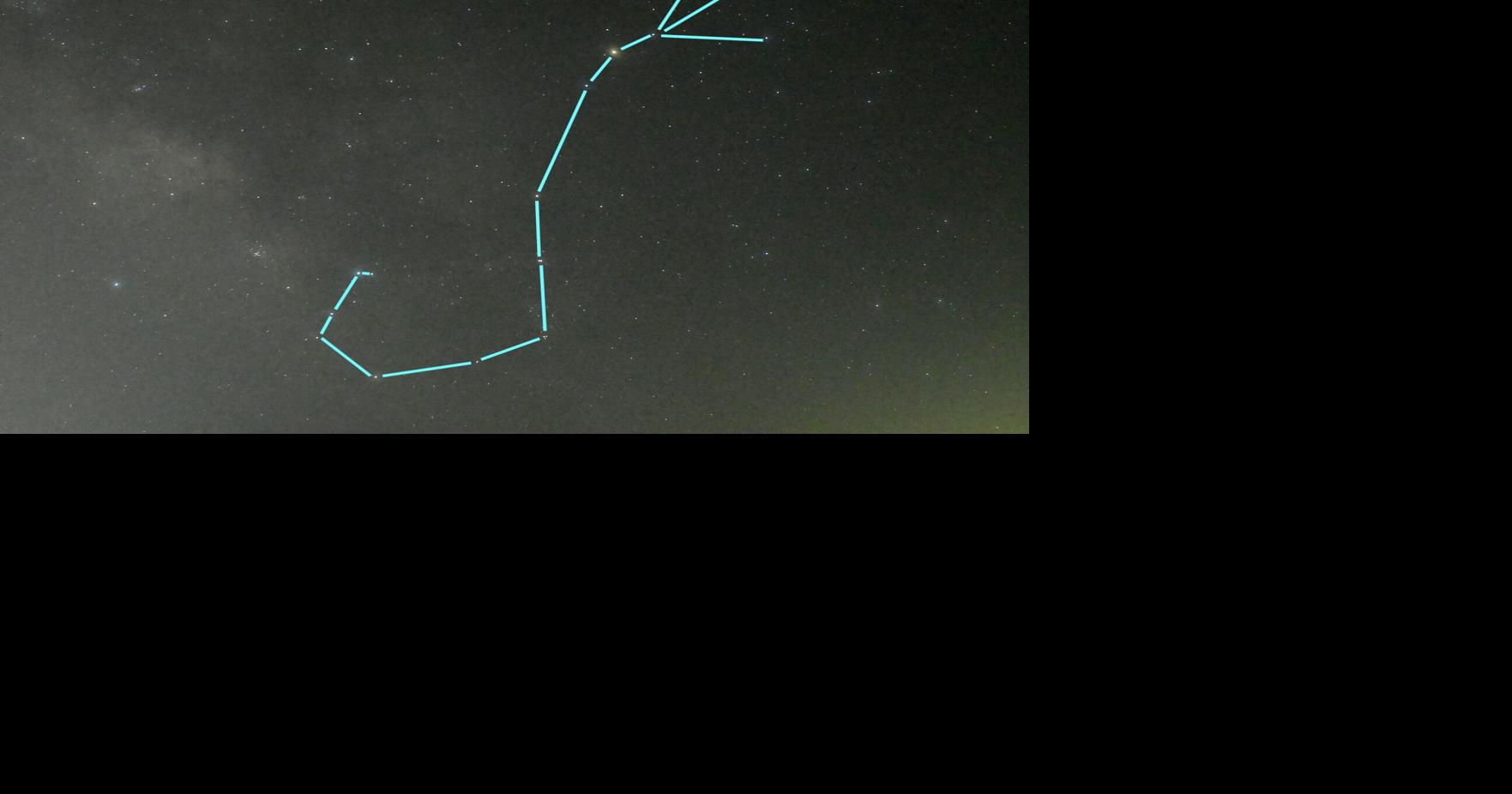 A scorpion rises: Scorpius and the giant star Antares dominate summer skies