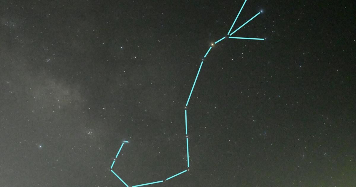 A scorpion rises: Scorpius and the giant star Antares dominate summer skies