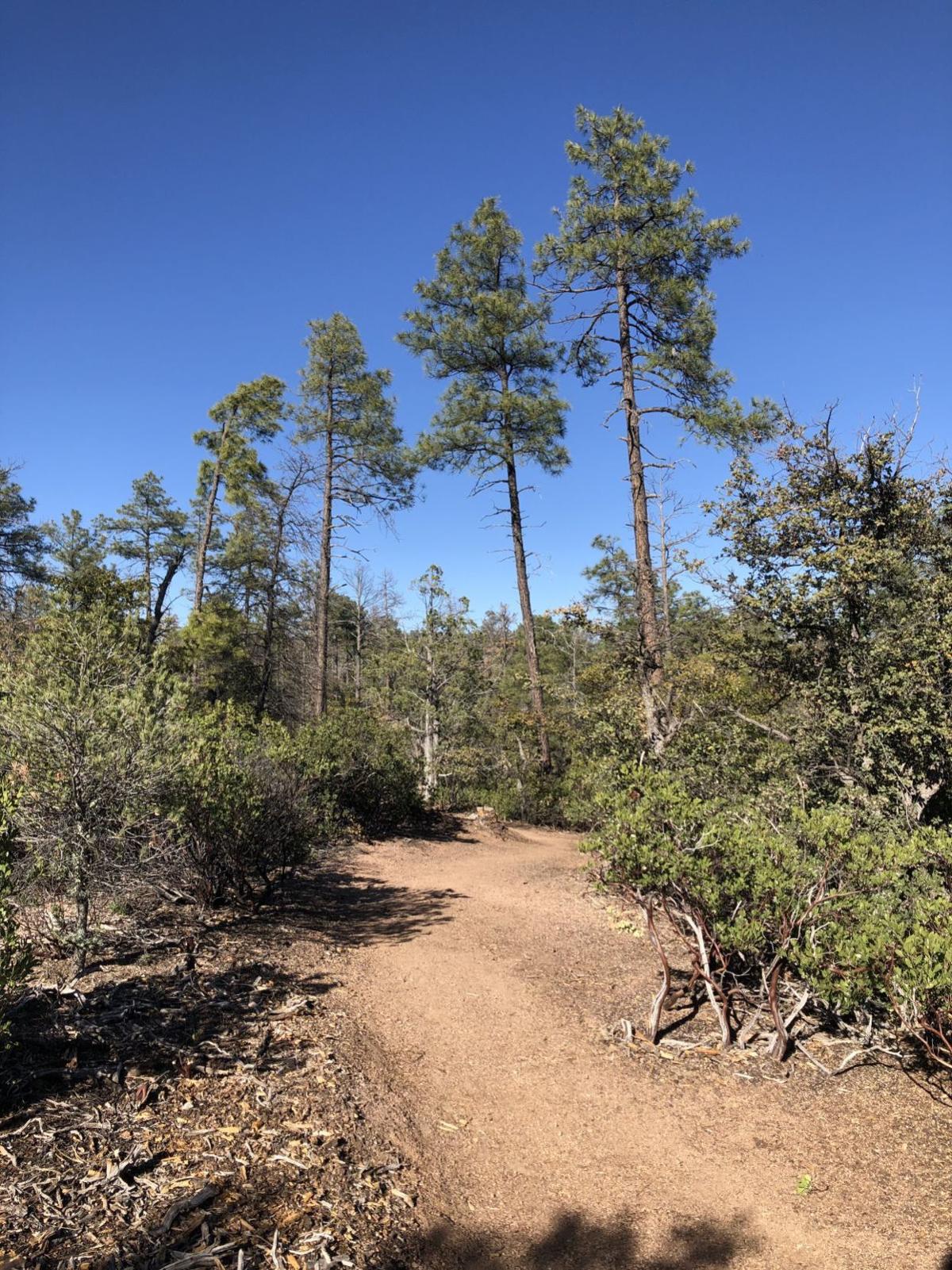 GCC-Payson trail gets much needed re-route | Local News ...