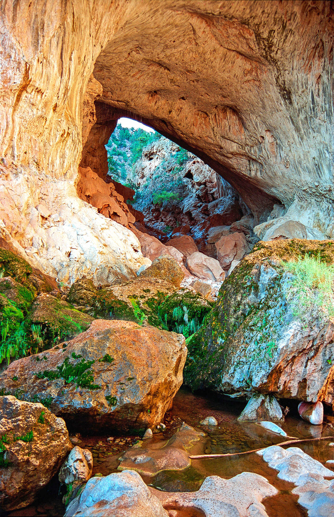 Tonto Natural Bridge Welcomes New Park Manager Sarah Kirk Local News   5c7ea2e210843.image 