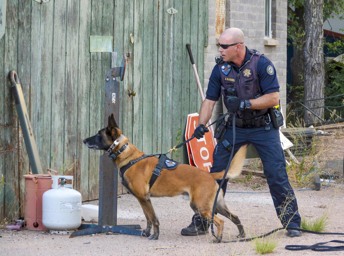 When In Doubt Surrender Crime Law Enforcement Paysonroundup Com