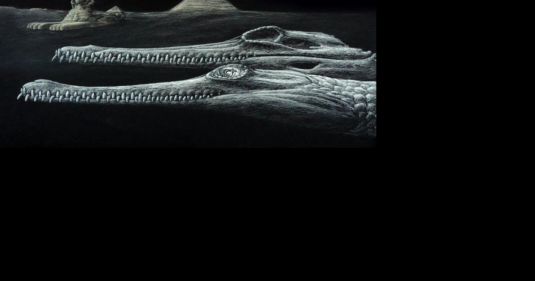 Fossilized Crocodile with Absent Snout Honors Egyptian Deity
