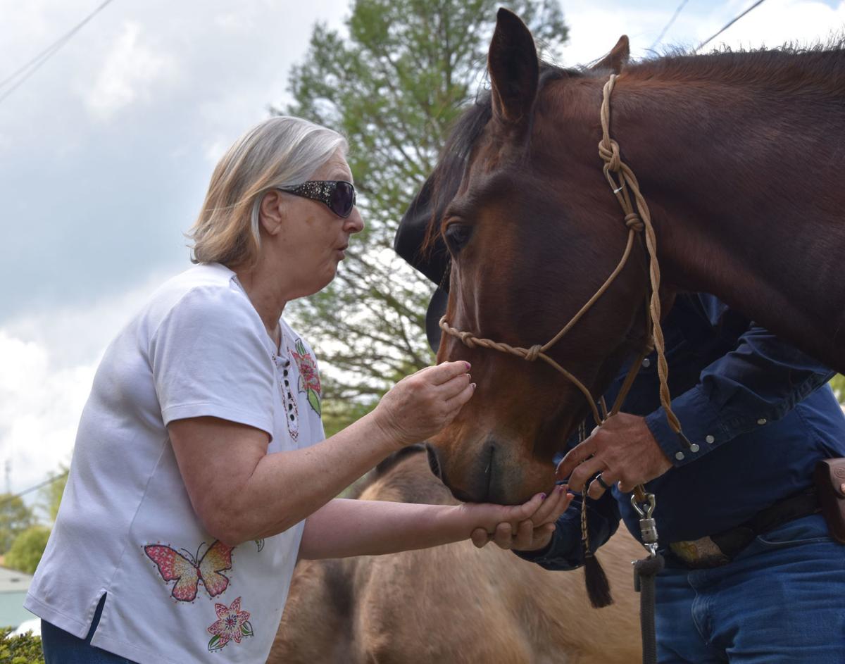 Horses1.jpg