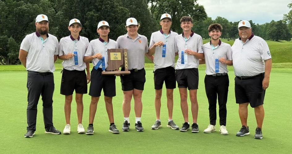 Titans win Boys Golf Sectional; Bane first Tiger golfer in Regional ...