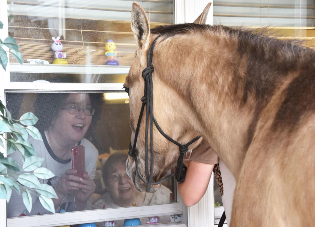 Horses2.jpg