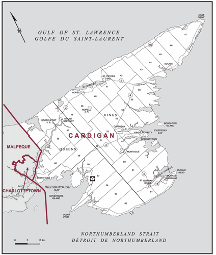 Cardigan candidates rebuke timing of federal election | The Eastern ...