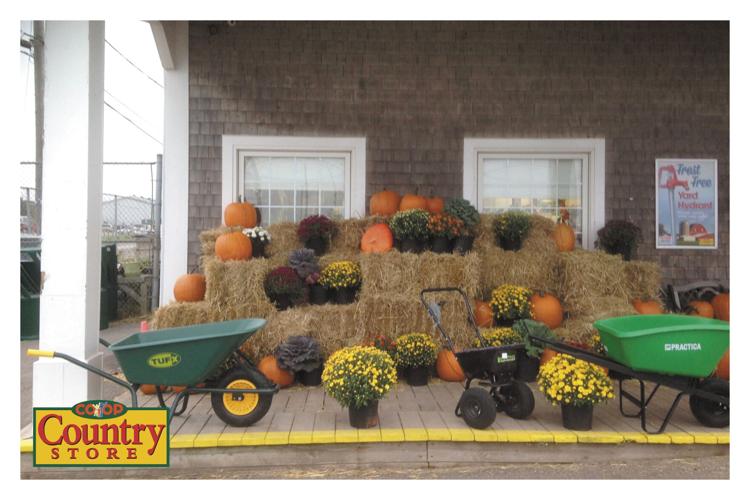 Agro Coop Country Store Agriculture Charlottetown, PE
