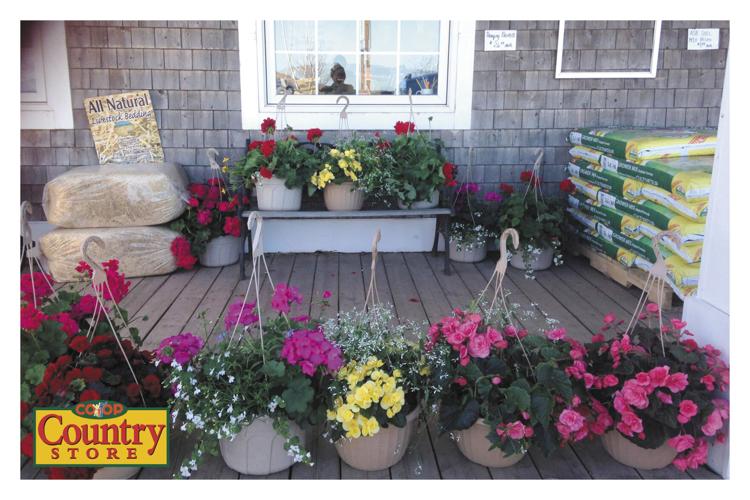 Agro Coop Country Store Agriculture Charlottetown, PE