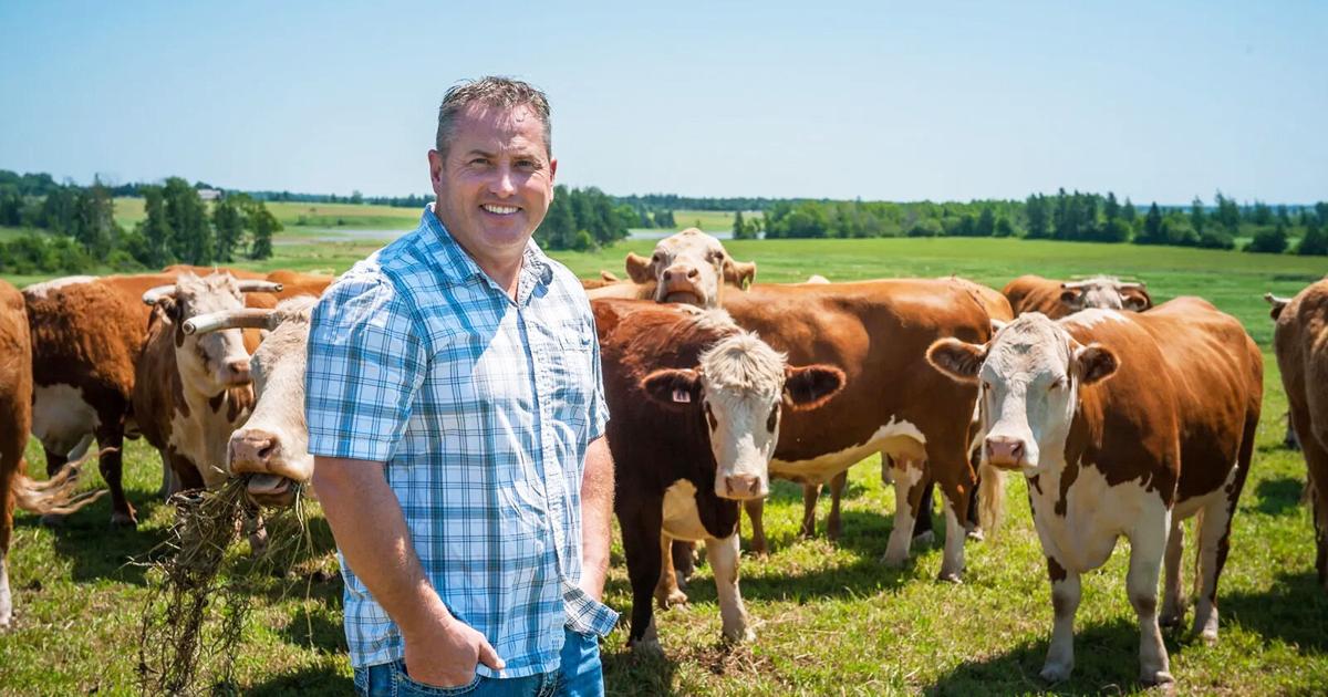 ABP beef plant transforms into producer co-operative | Island Farmer ...