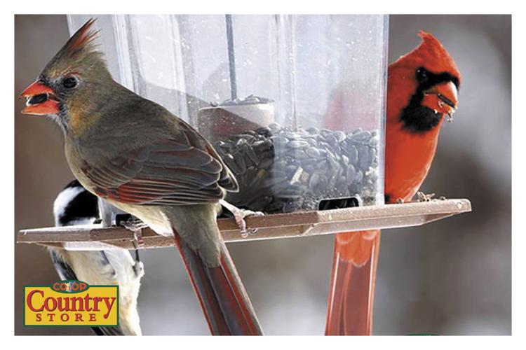 Agro Coop Country Store Agriculture Charlottetown, PE