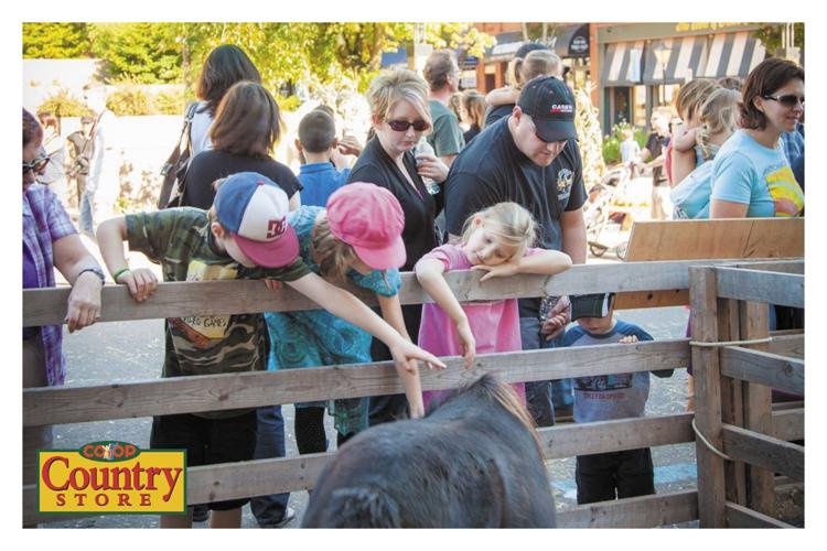 Agro Coop Country Store Agriculture Charlottetown, PE