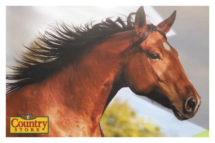 Agro Coop Country Store Agriculture Charlottetown, PE