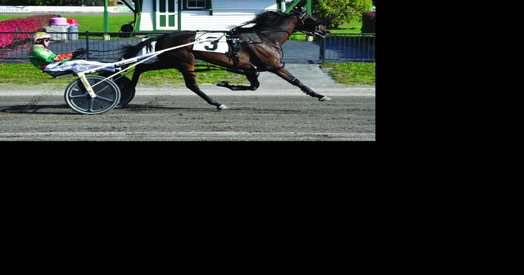 Leading Driver Pezzarello Dominant at Northside Downs By Shane Ryan Oct 21, 2026 2 hrs ago