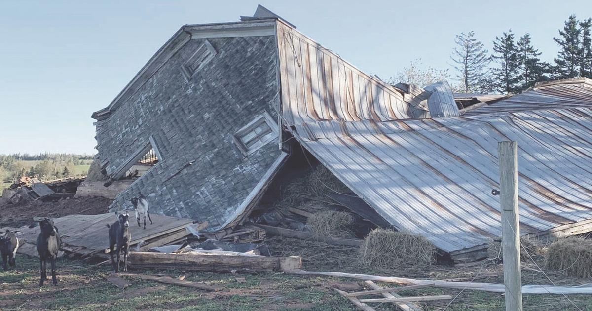 Barn collapses, trapping animals inside | The Eastern Graphic ...