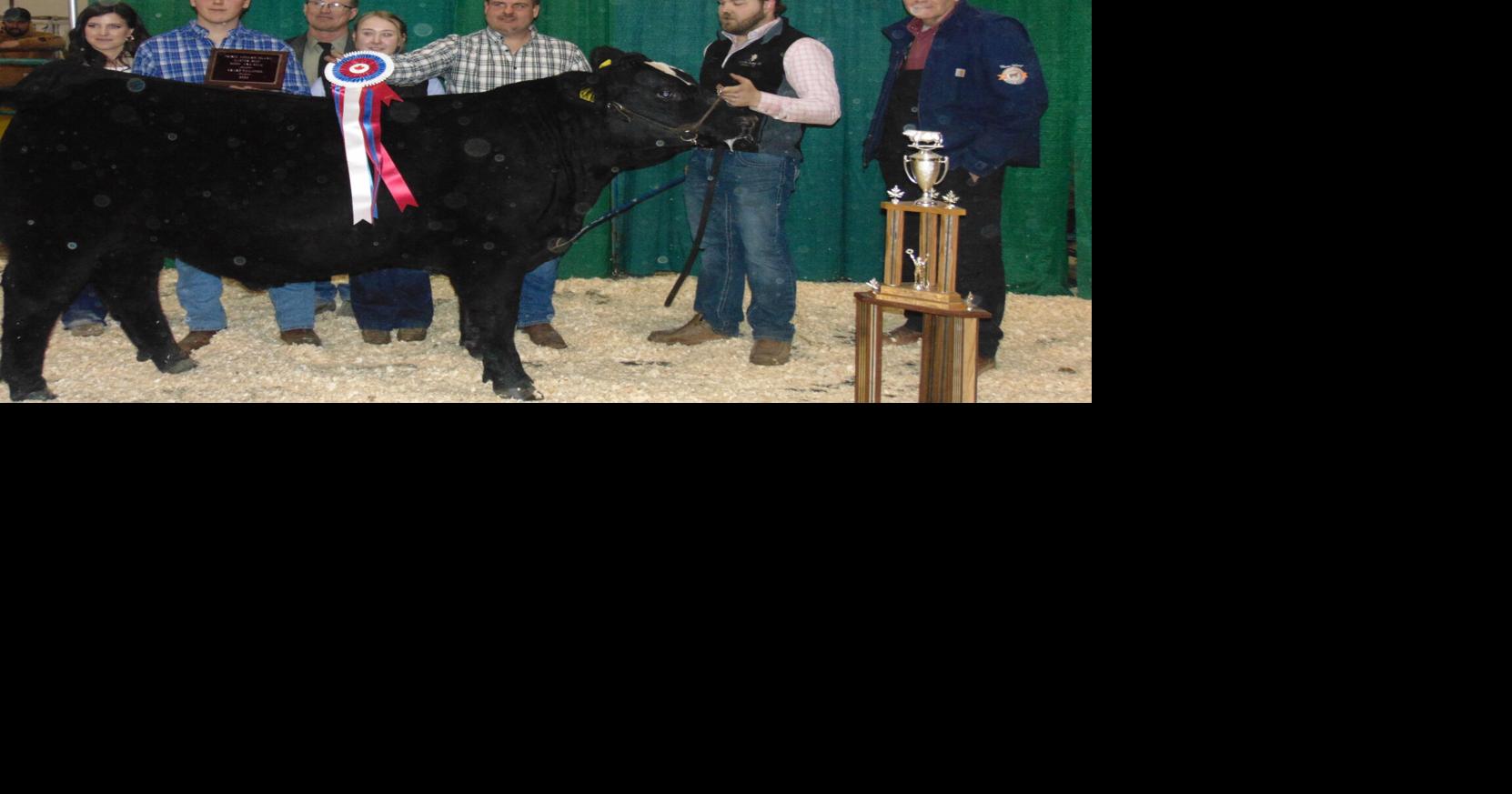 MacQuarrieSanderson duo repeat winners at Easter Beef Show Island