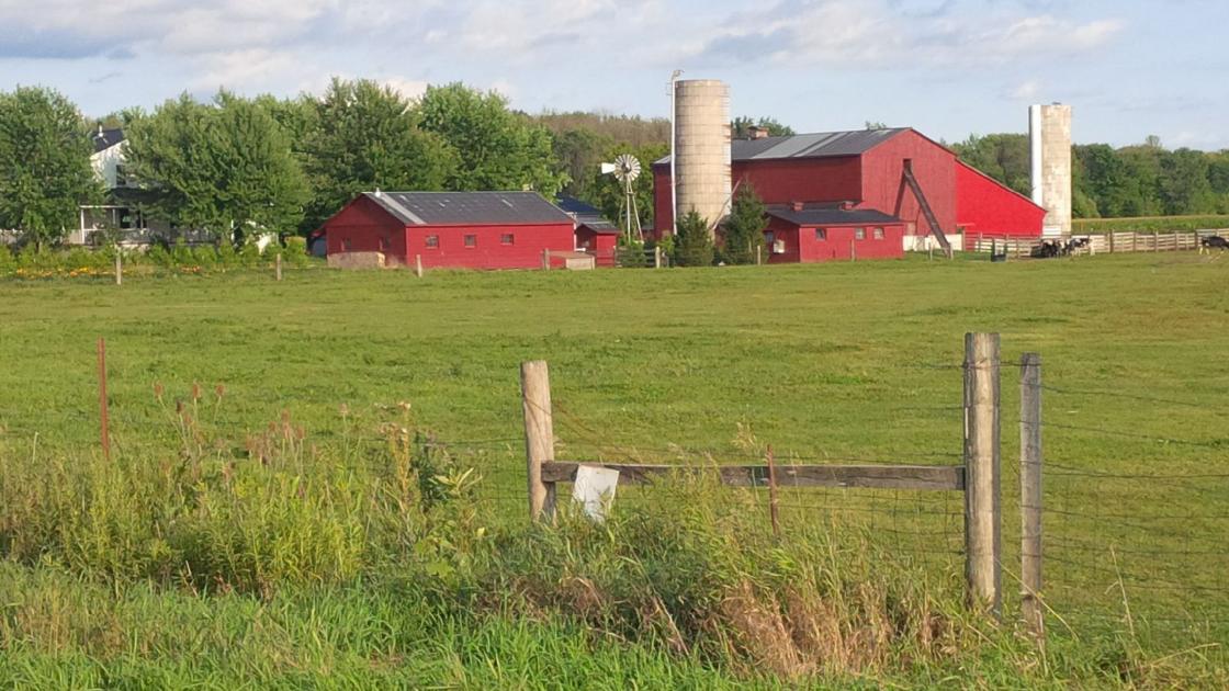 Amish families purchase farm land to start migration to ...