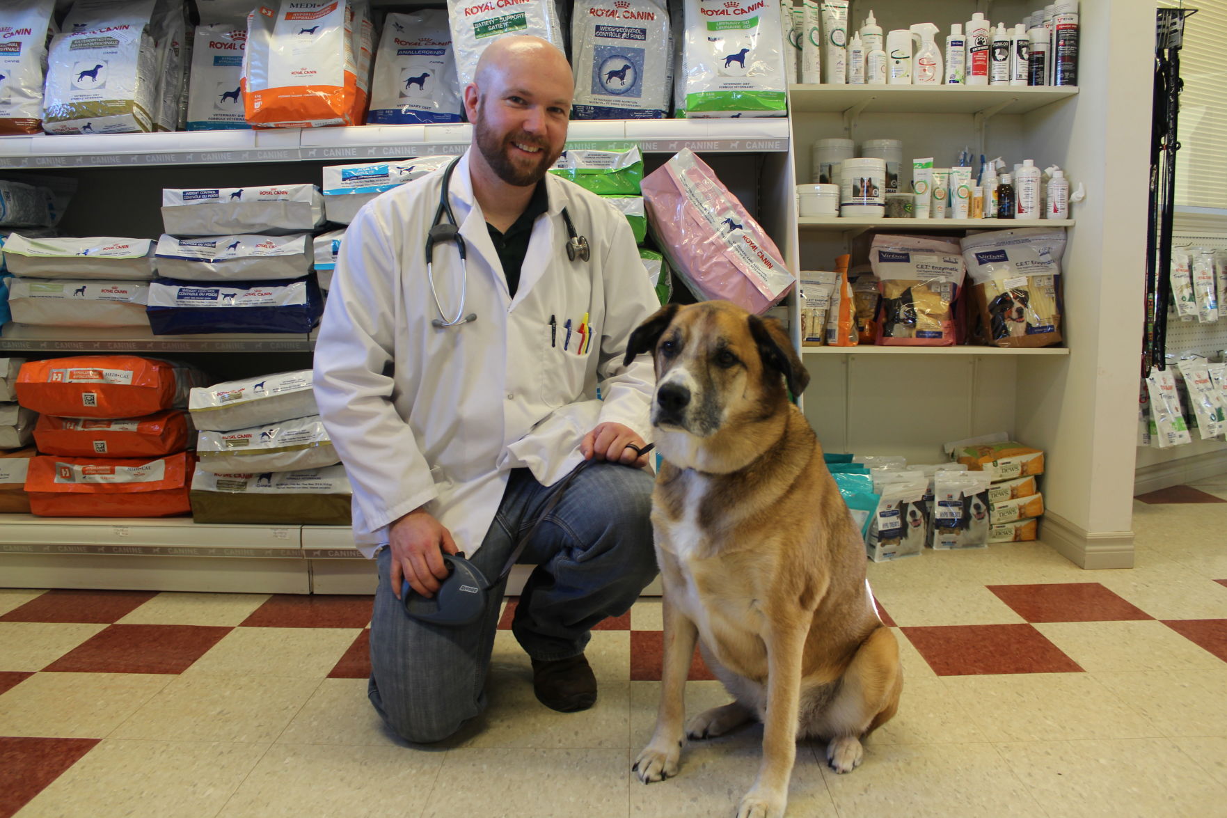 tail docking vets near me