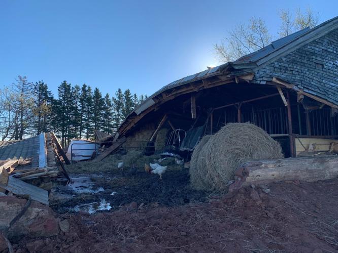 Barn collapses, trapping animals inside | The Eastern Graphic ...