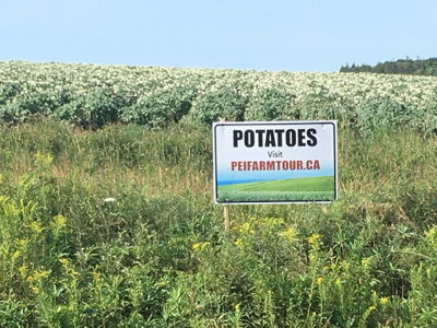 potato sign in field