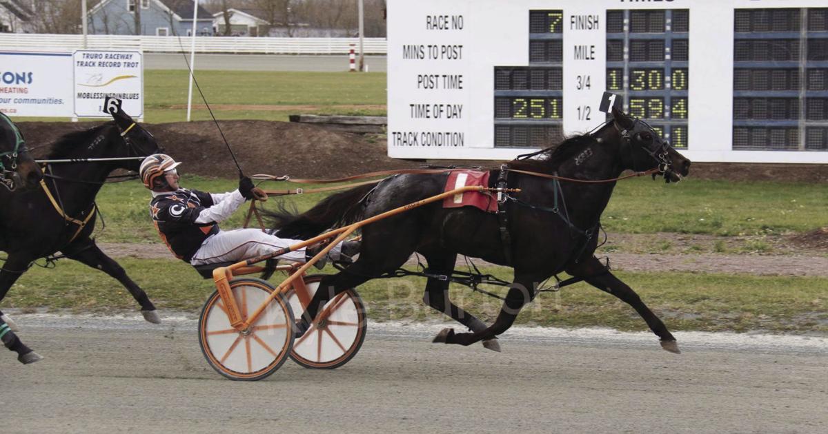 Inverness Raceway Inverness Raceway Update Yearlings in Breaking | Atlantic Post Calls ...