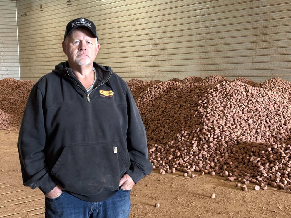 Cold, wet weather delays PEI potato planting season