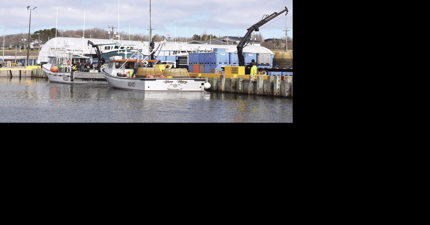 Early end in sight for PEI snow crab fishery The Eastern Graphic