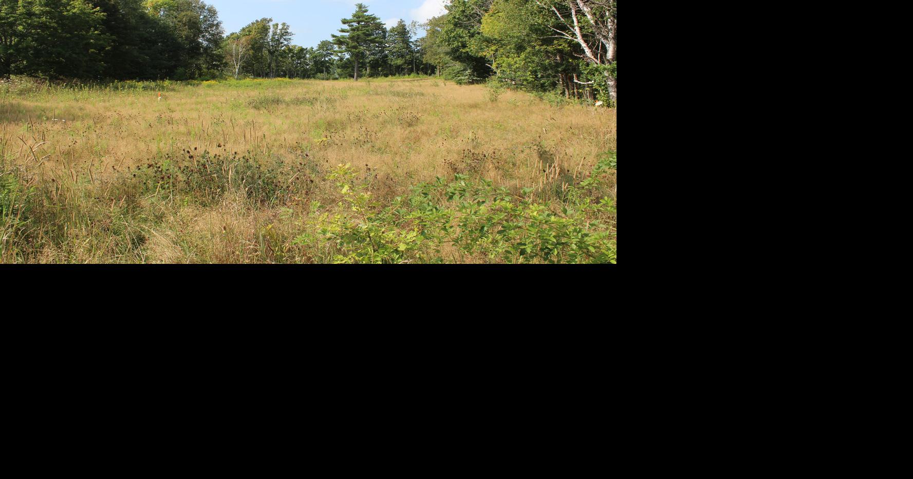 Montague to add three apartment buildings The Eastern Graphic