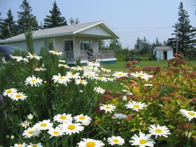 Cottagers From Out Of Province Must Have Support System On Pei Coronavirus Peicanada Com