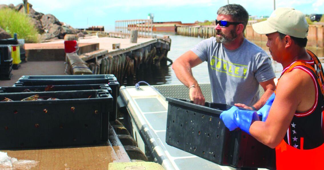 Lobster fishers waiting on price as fall season gets underway Aug 19, 2026 4 hrs ago