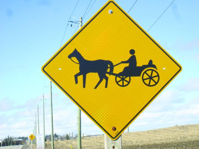 buggy sign